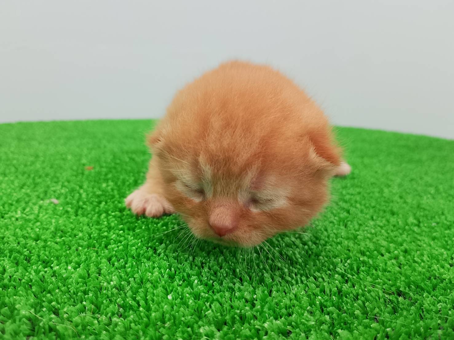 赤ちゃん写真1-1