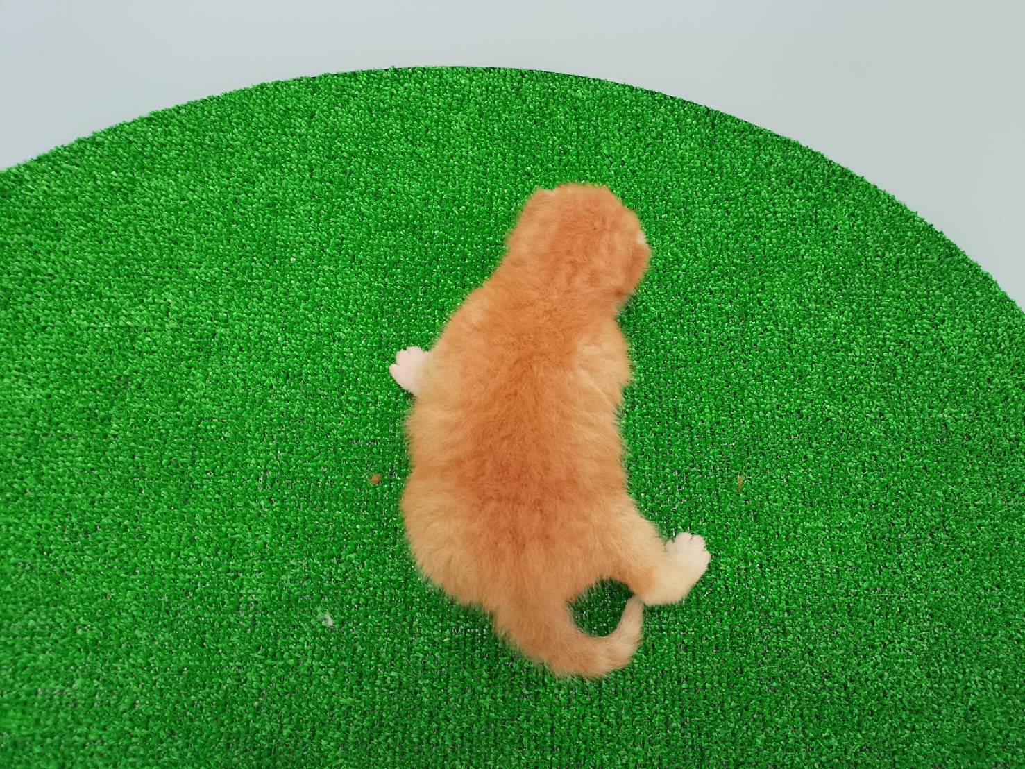 赤ちゃん写真1-3