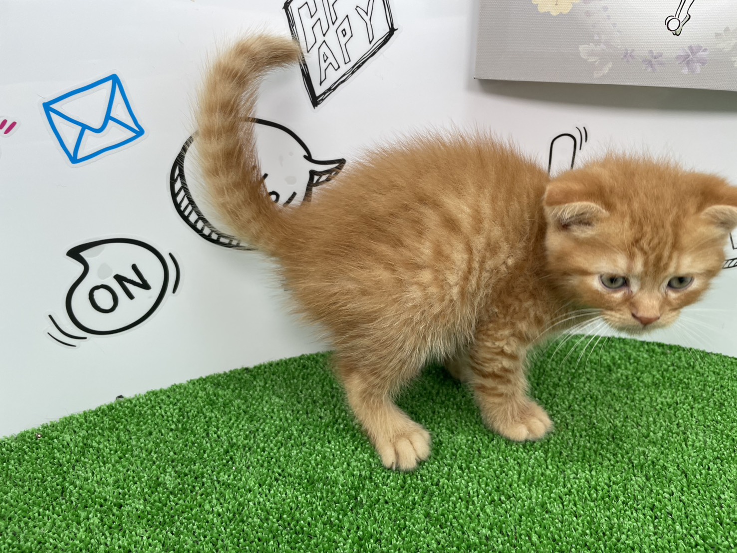 赤ちゃん写真2-2