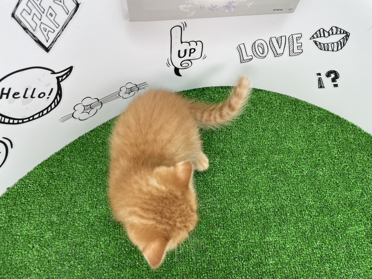 赤ちゃん写真2-3