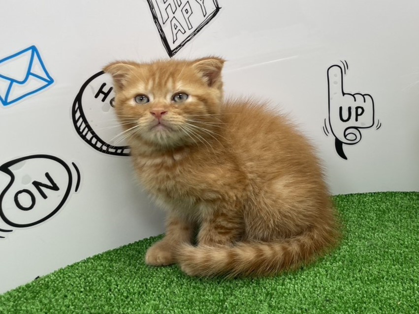 赤ちゃん写真3-1