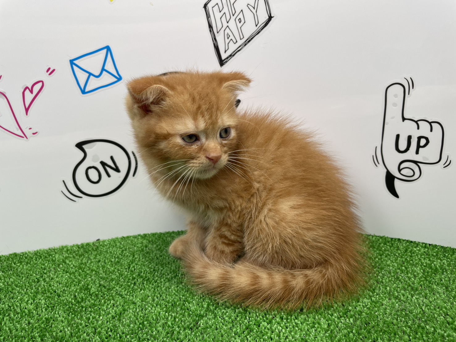 赤ちゃん写真3-2
