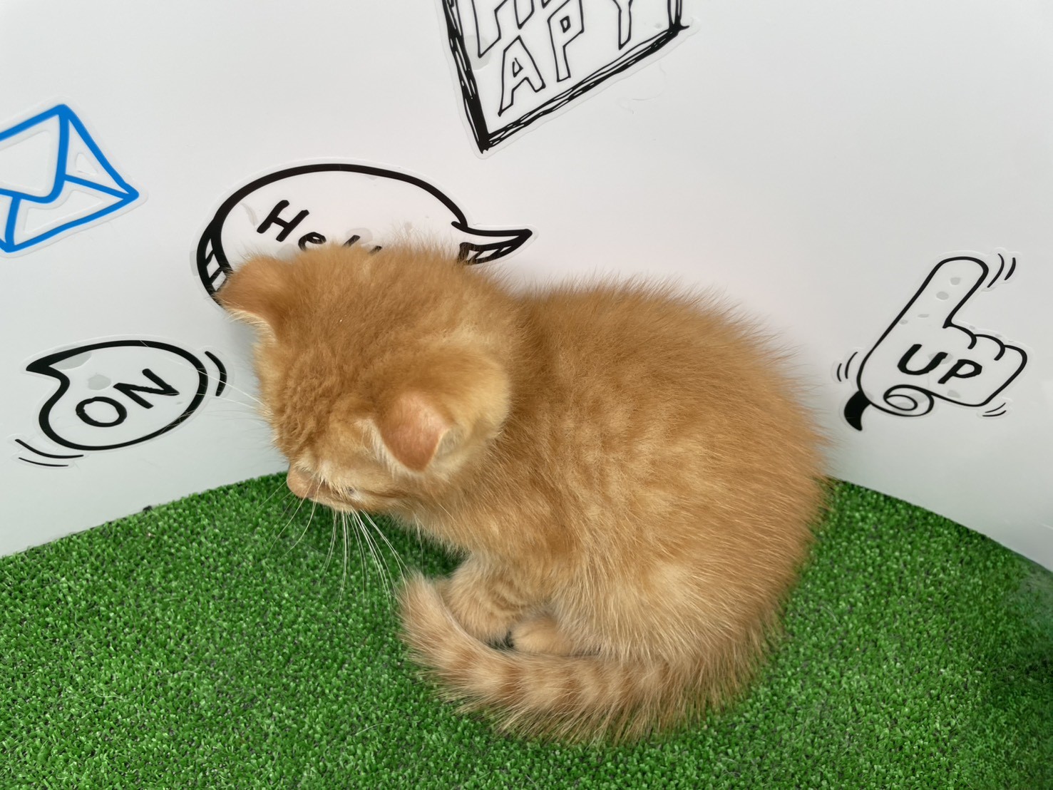 赤ちゃん写真3-3
