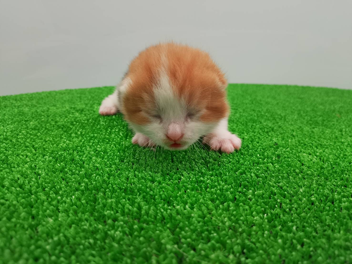赤ちゃん写真1-1