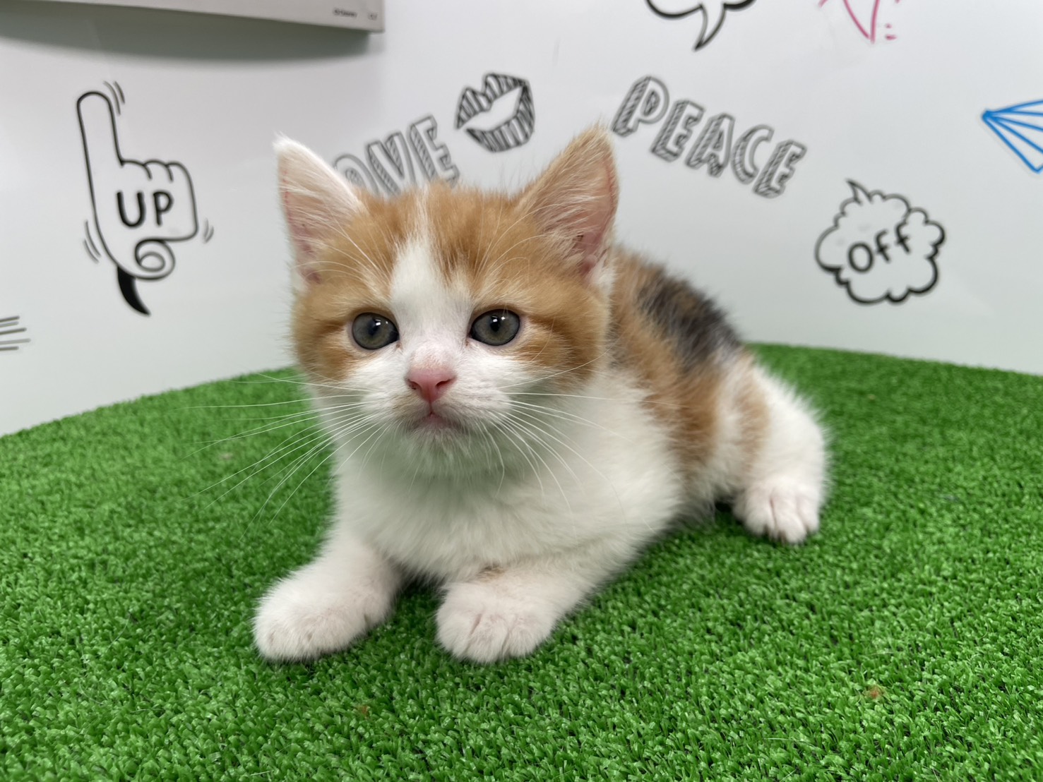 赤ちゃん写真2-1