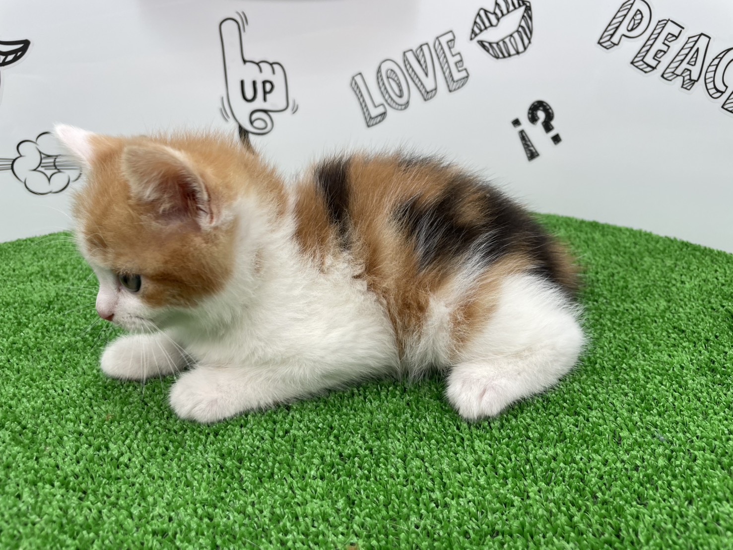 赤ちゃん写真2-2