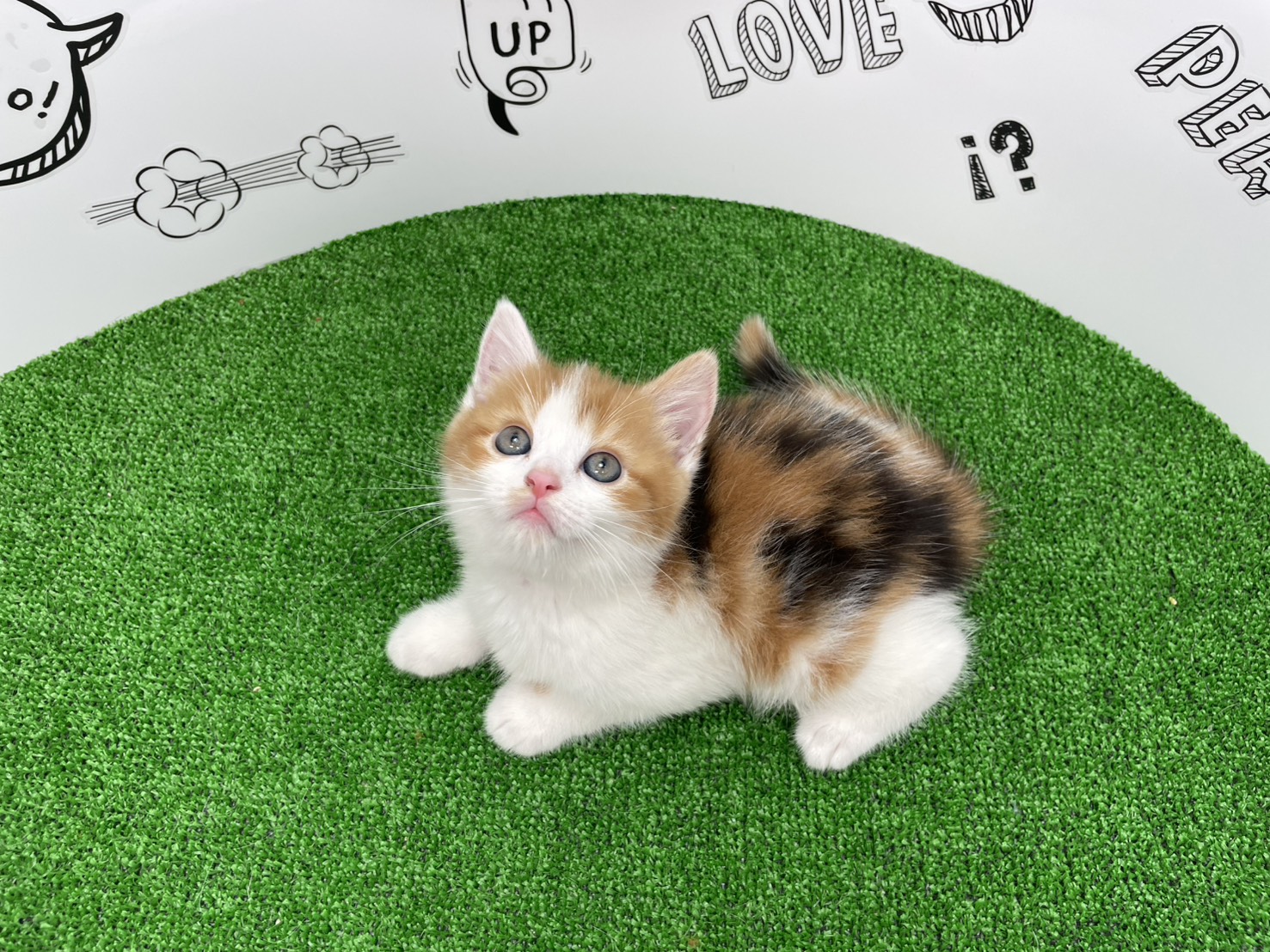 赤ちゃん写真2-3