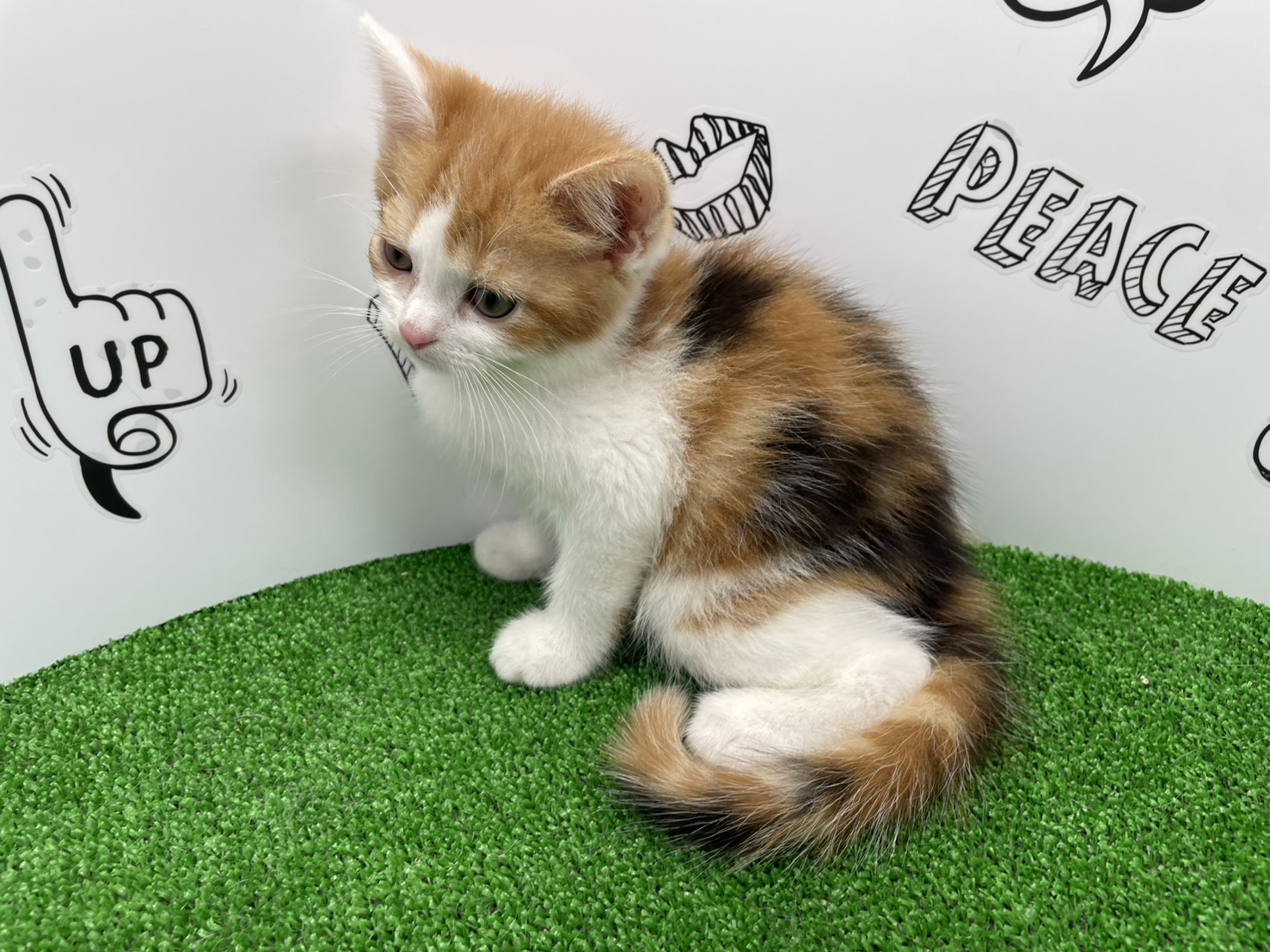 赤ちゃん写真3-2