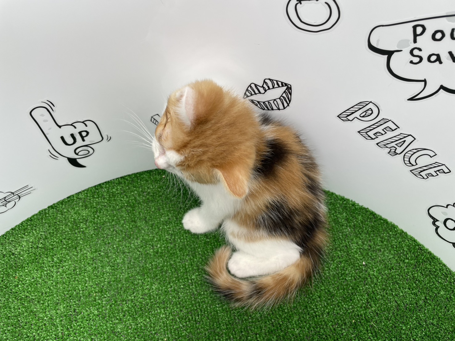 赤ちゃん写真3-3