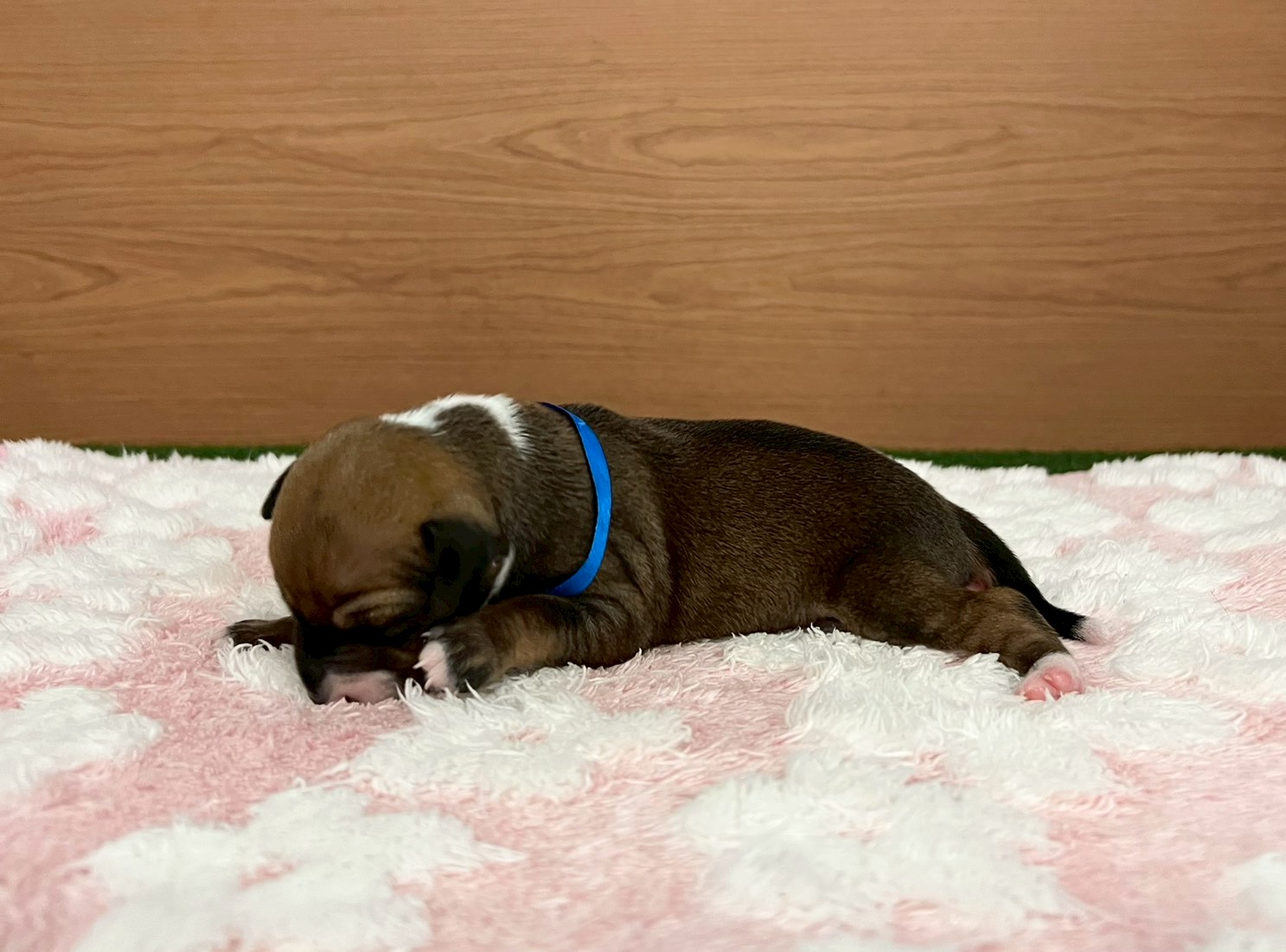 赤ちゃん写真1-2