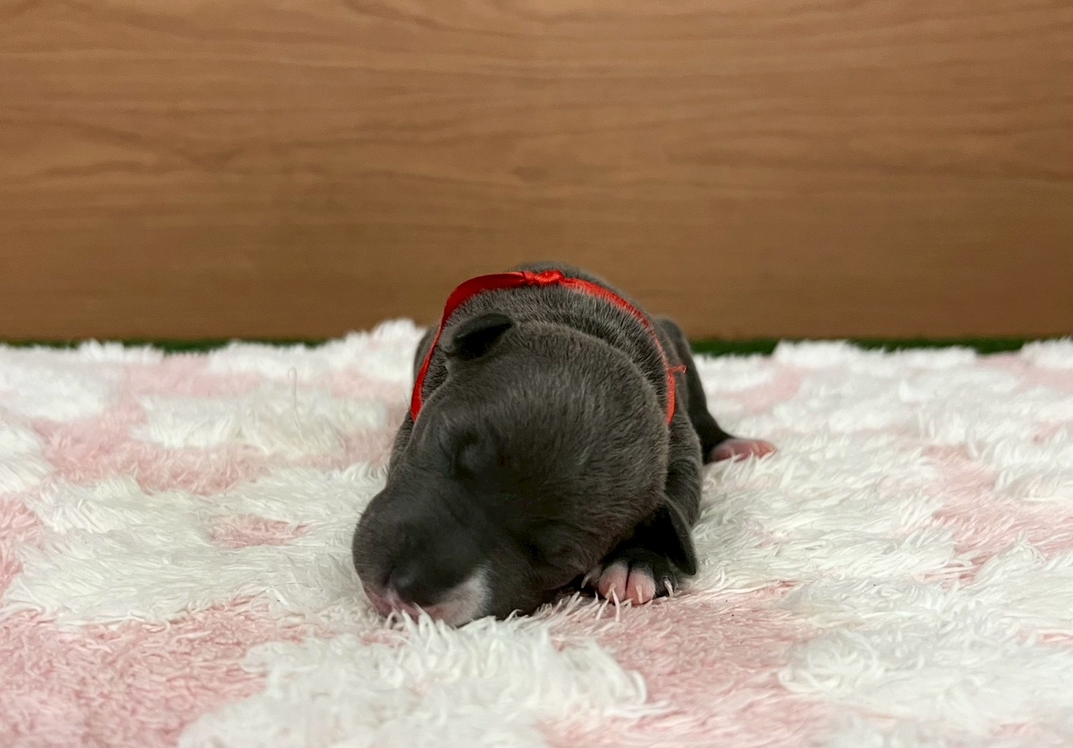 赤ちゃん写真1-1