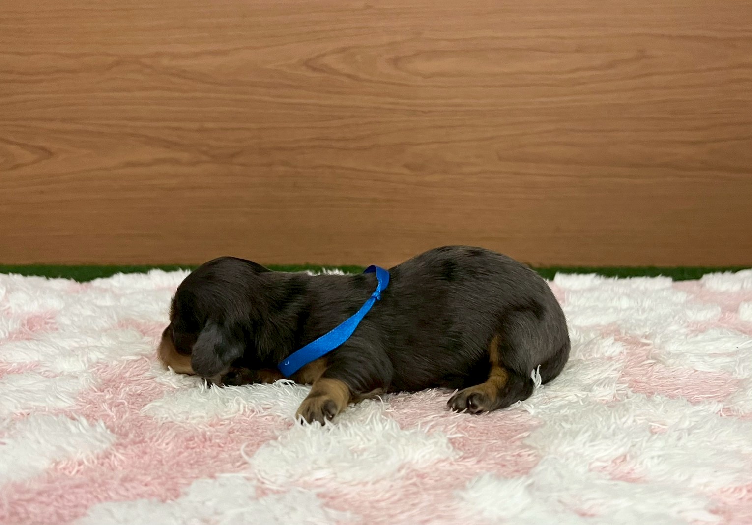 赤ちゃん写真1-2
