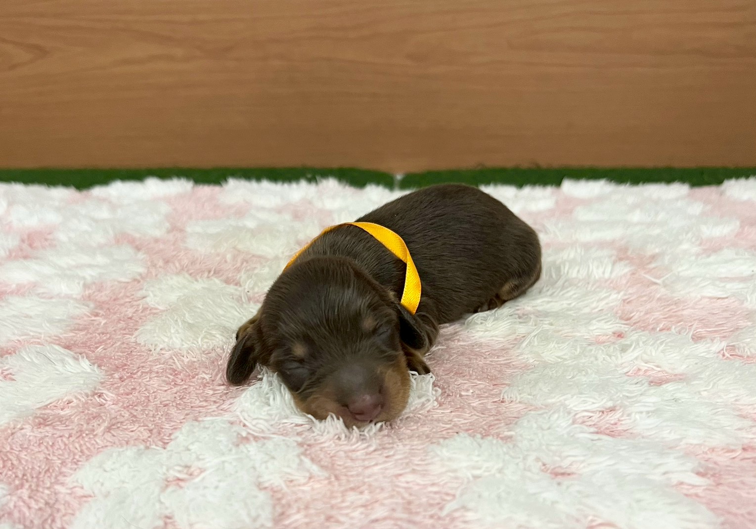赤ちゃん写真1-1