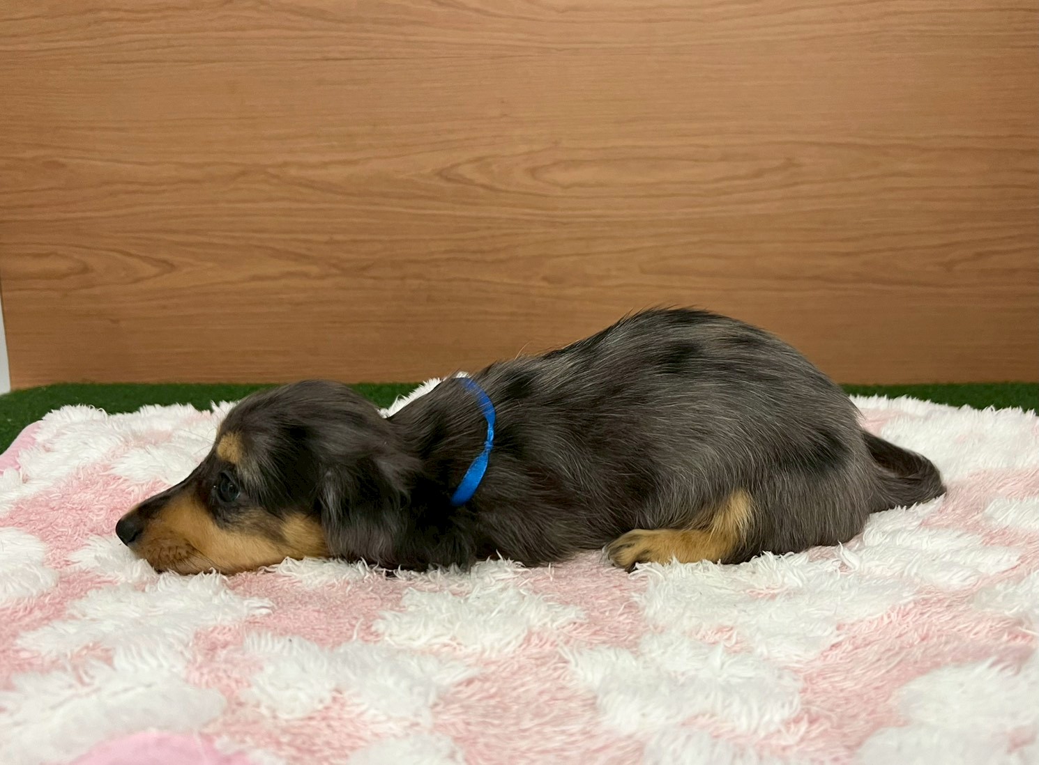 赤ちゃん写真3-2