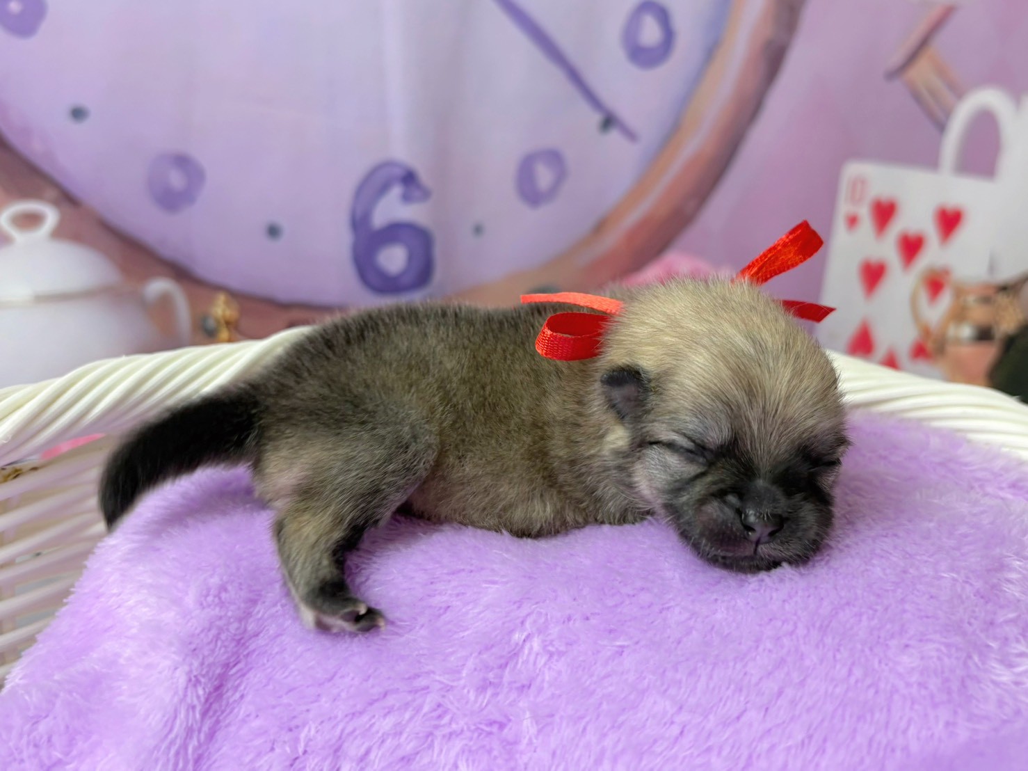 赤ちゃん写真1-2