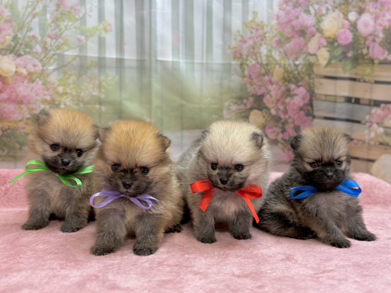 赤ちゃん写真2-3