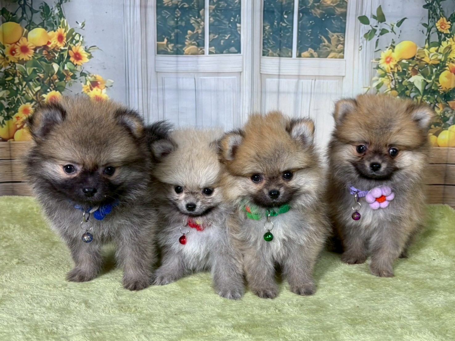 赤ちゃん写真3-3