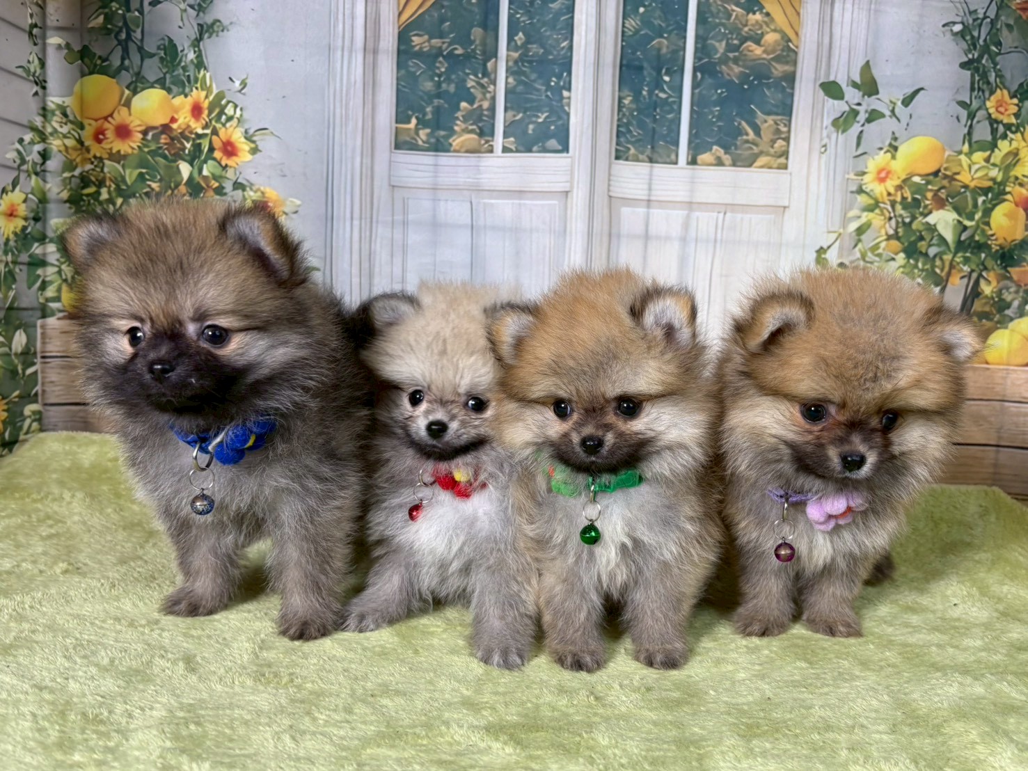 赤ちゃん写真3-3