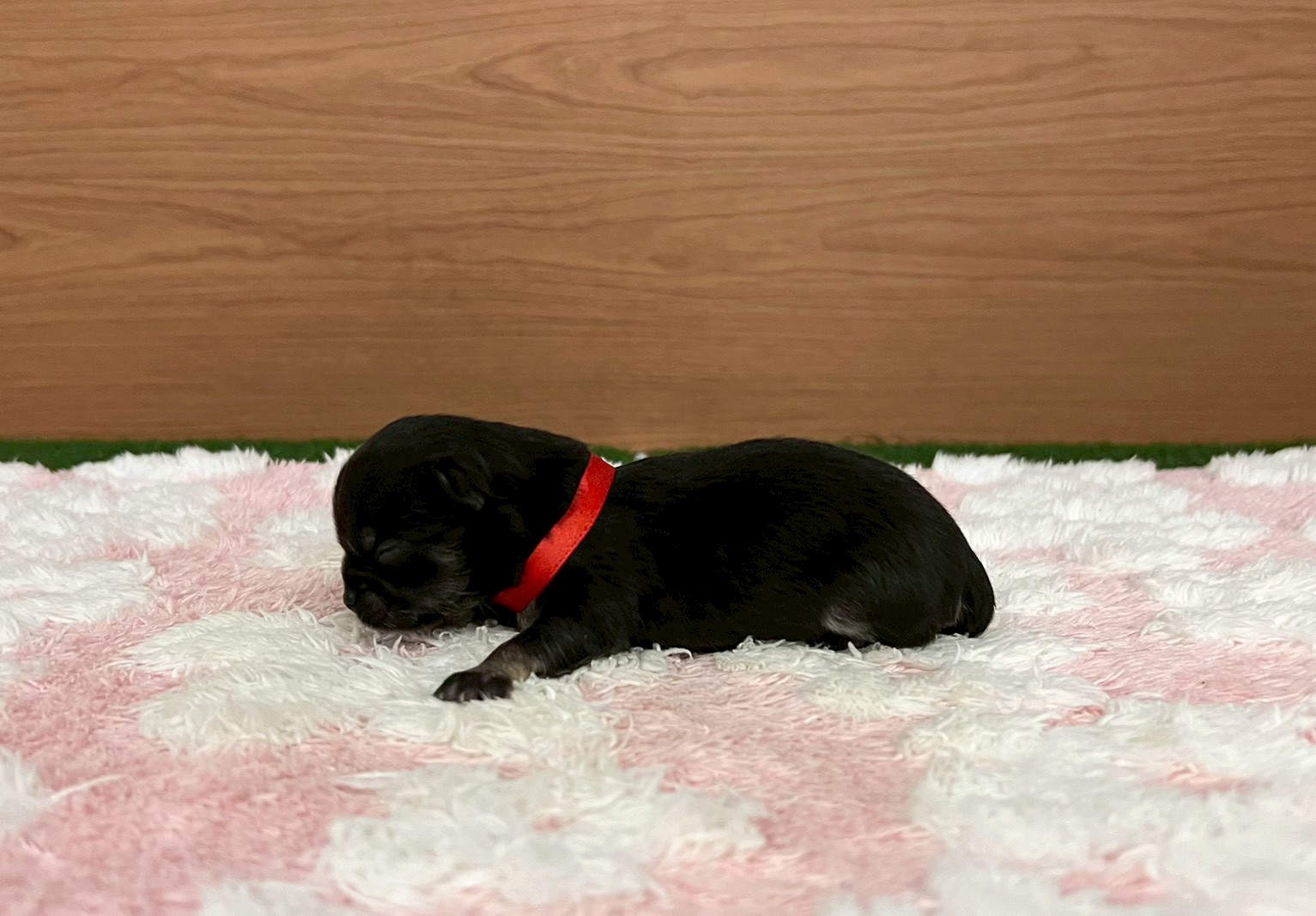 赤ちゃん写真1-2