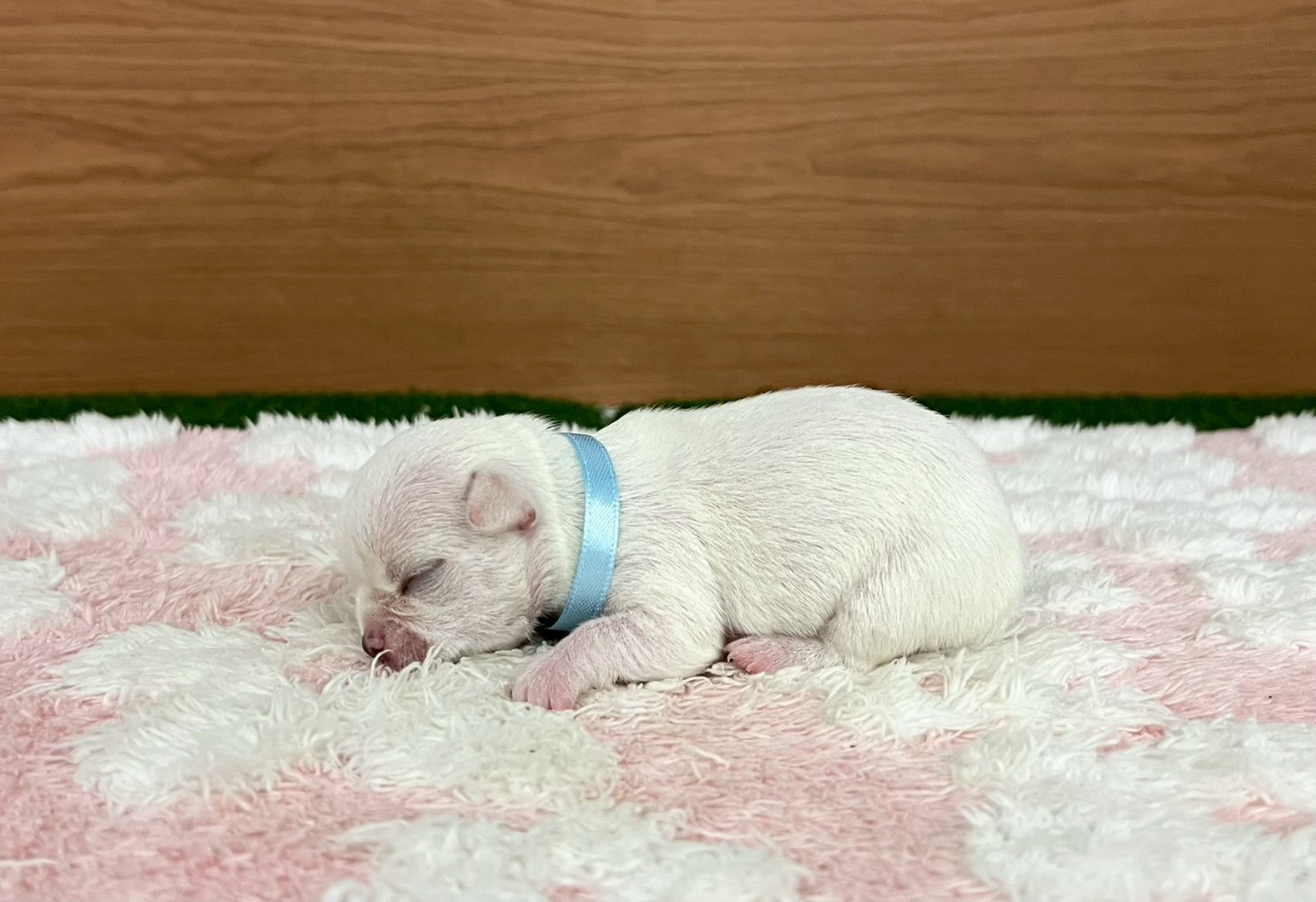 赤ちゃん写真1-2
