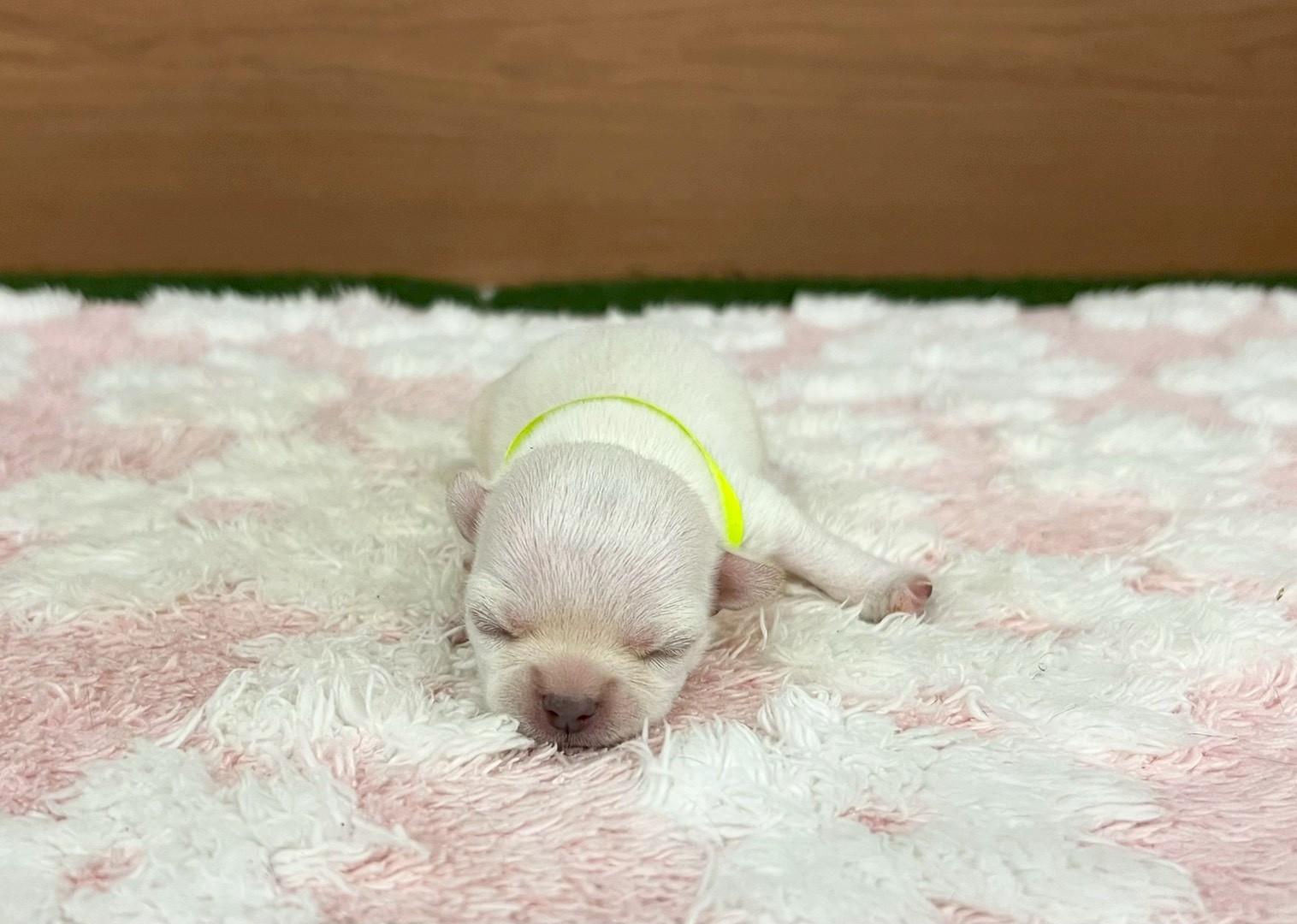赤ちゃん写真1-1