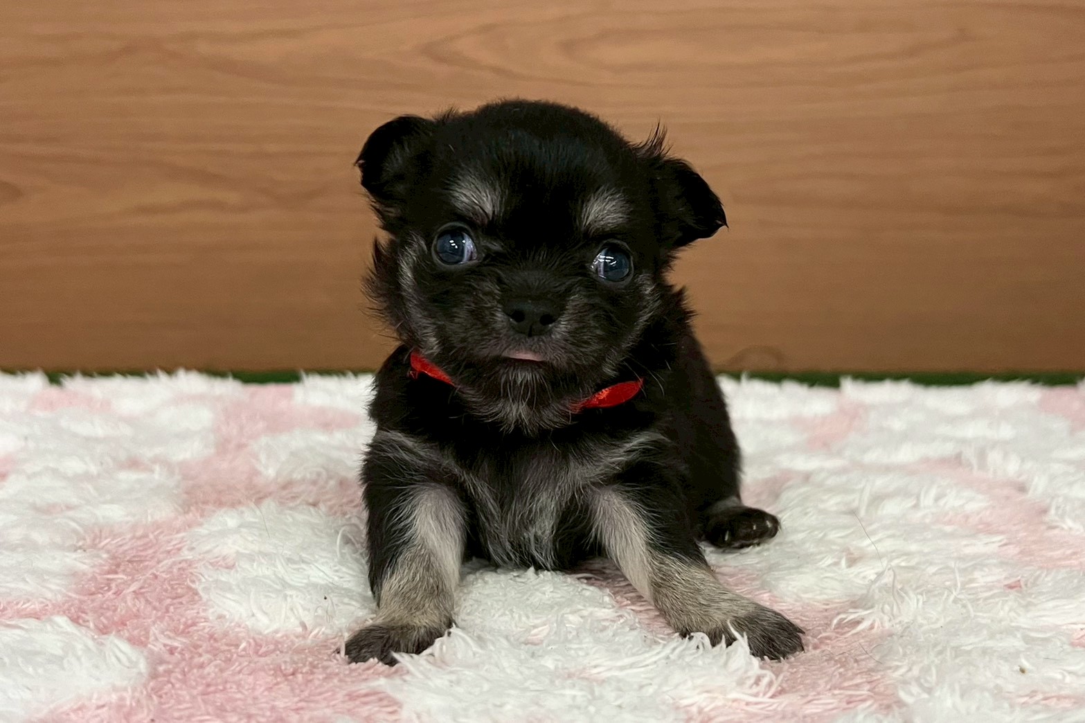 赤ちゃん写真2-1