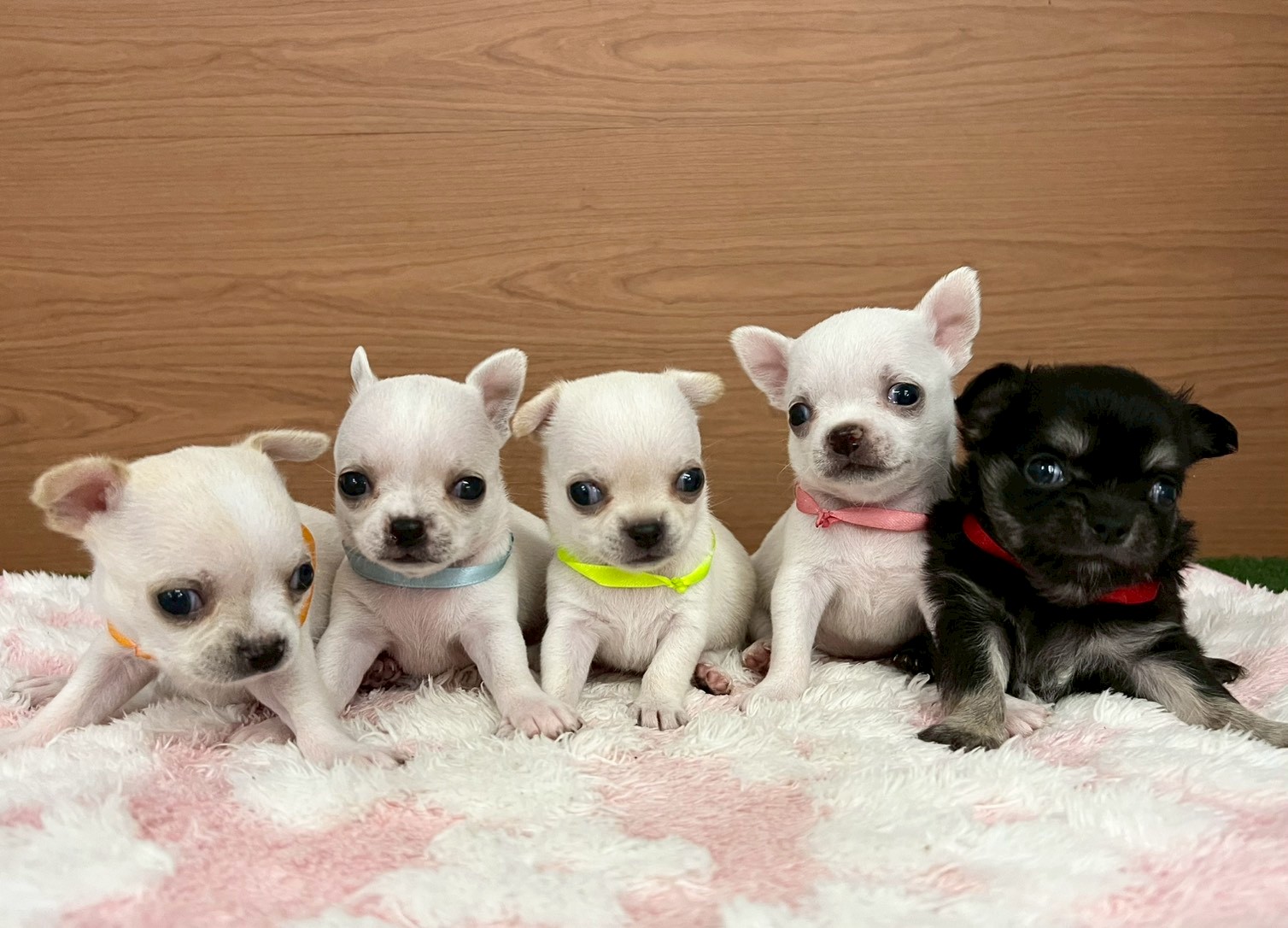 赤ちゃん写真2-3