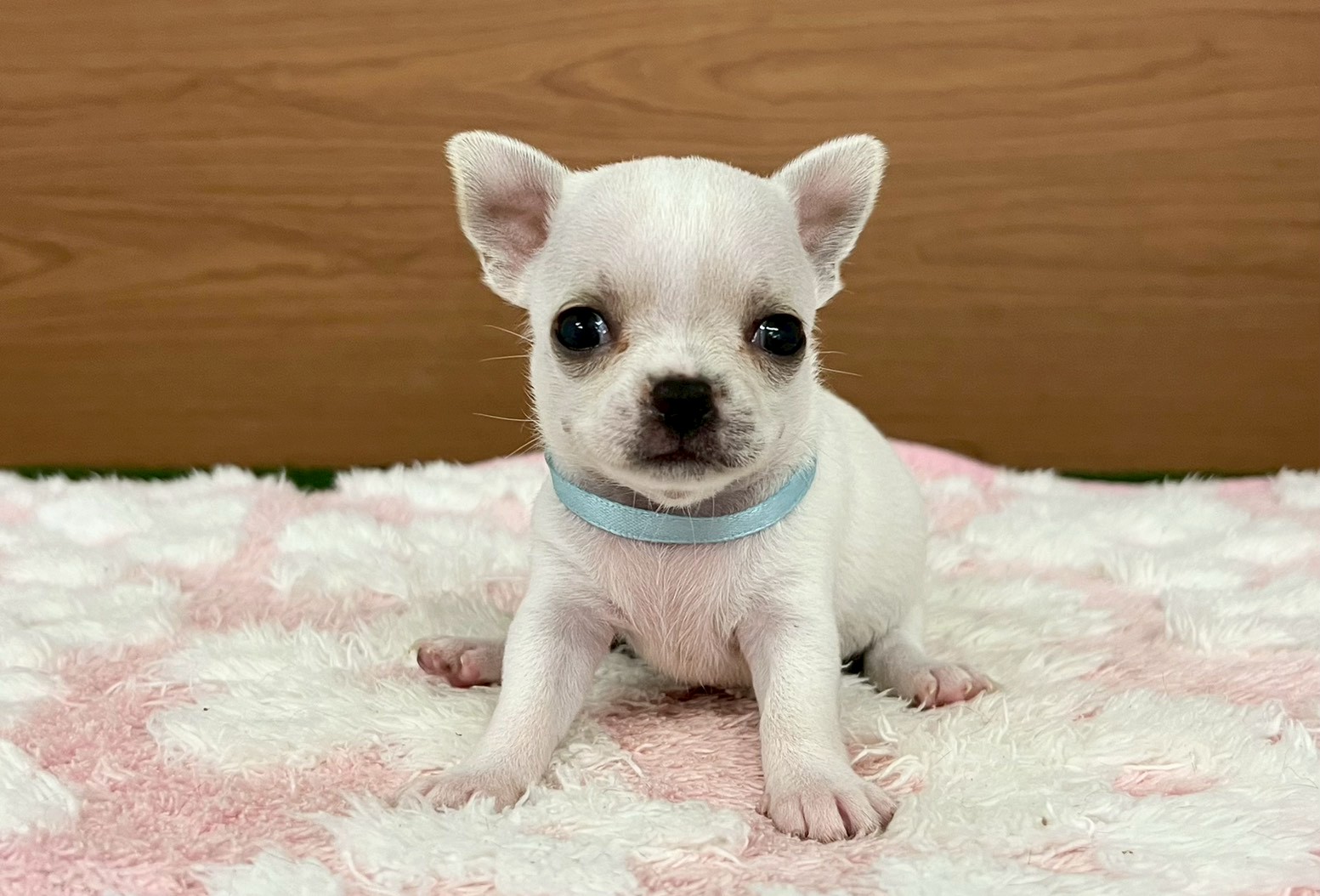 赤ちゃん写真2-1