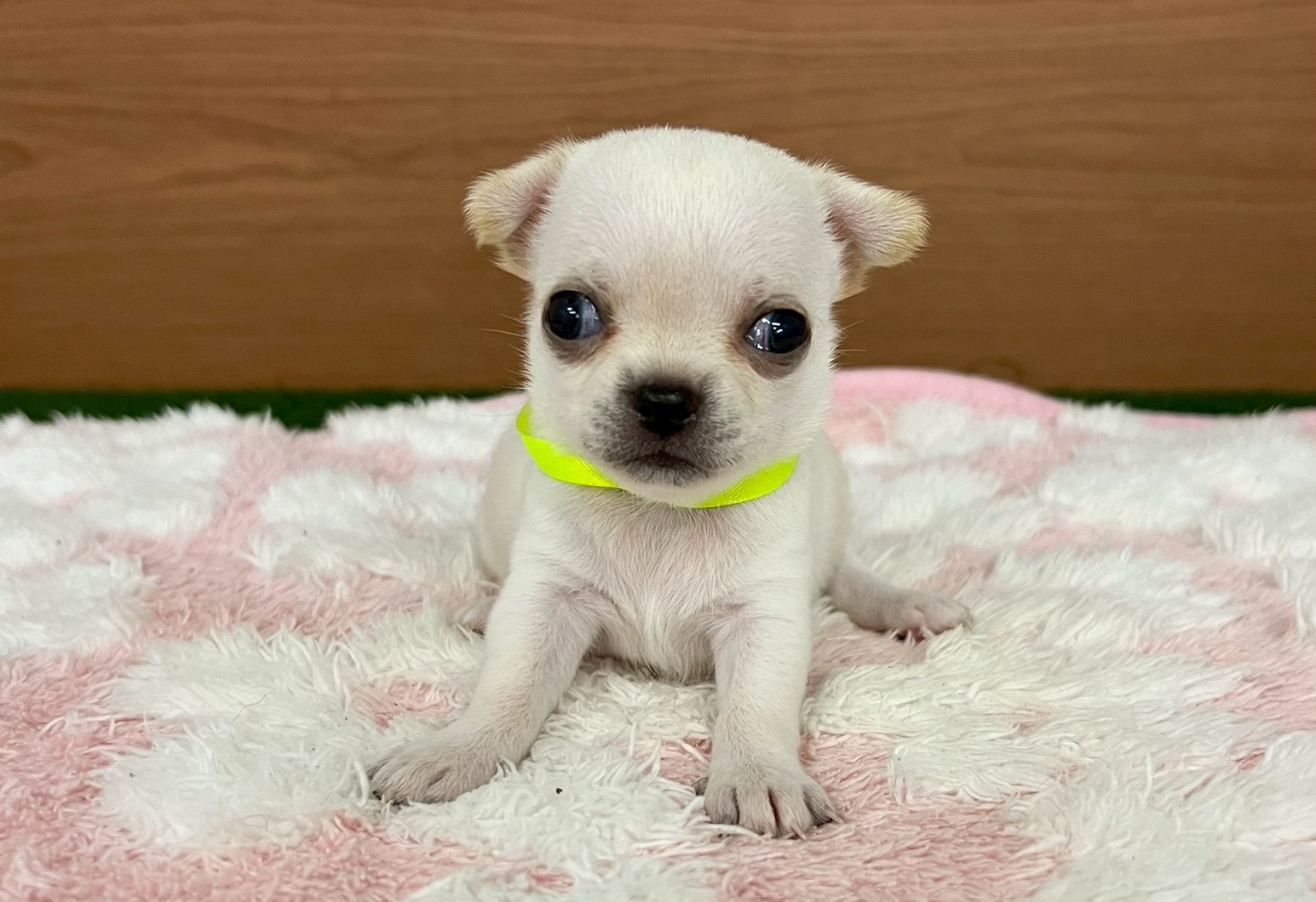 赤ちゃん写真2-1