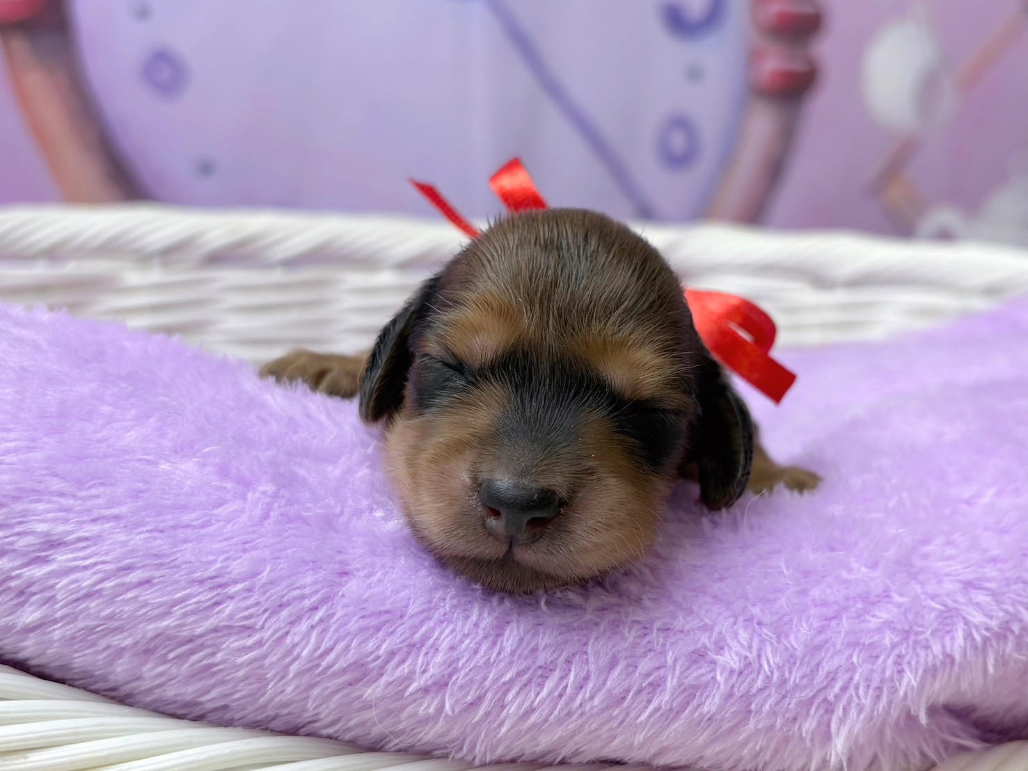 赤ちゃん写真1-1