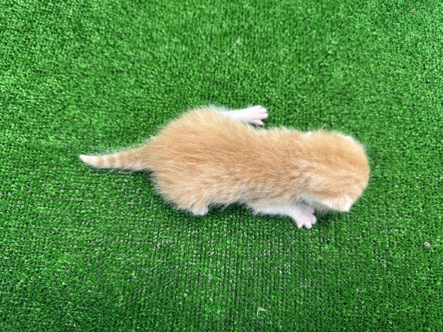 赤ちゃん写真1-3