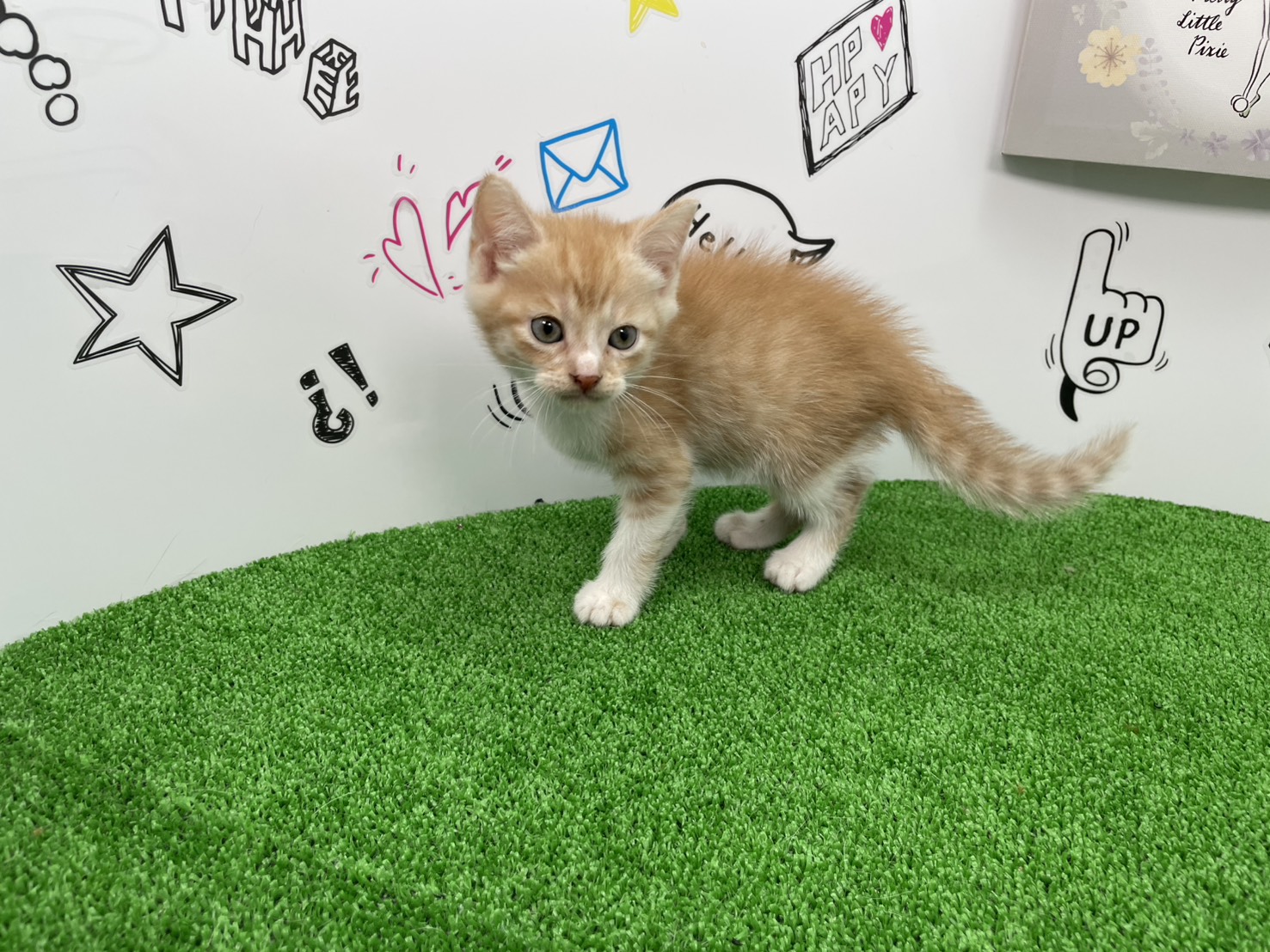 赤ちゃん写真2-2