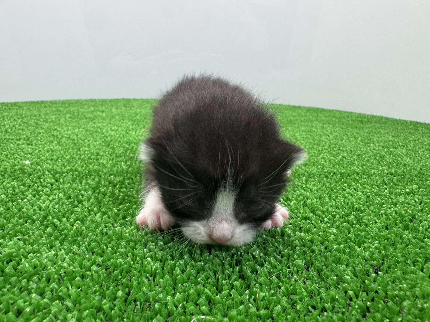 赤ちゃん写真1-1