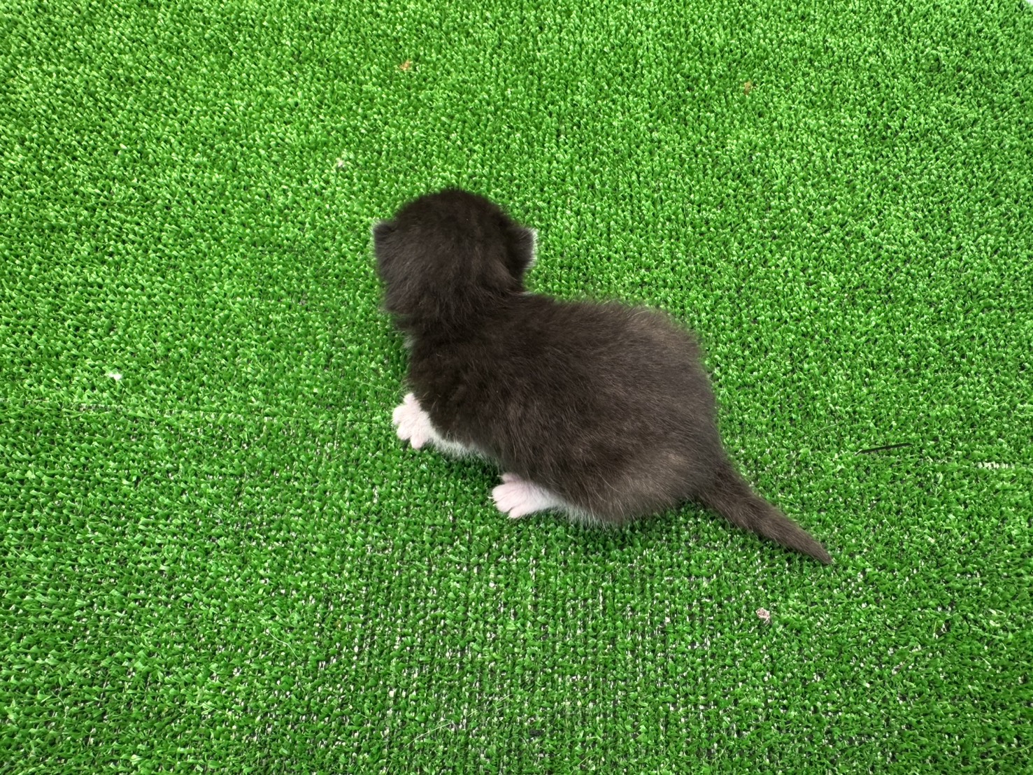 赤ちゃん写真1-3