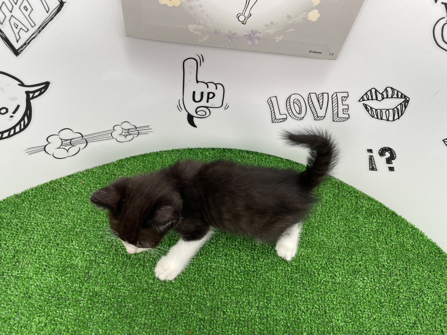 赤ちゃん写真2-3