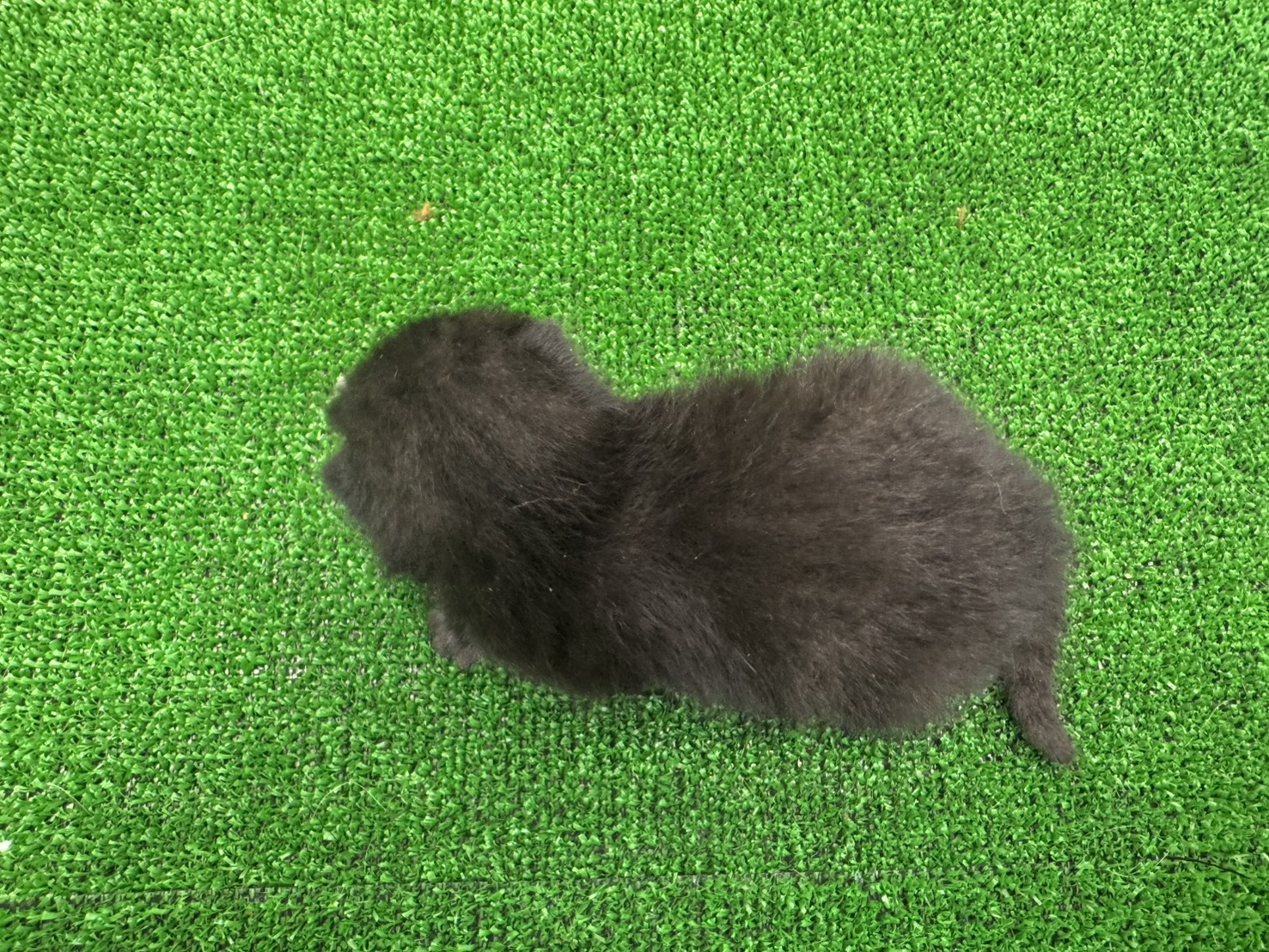 赤ちゃん写真1-3