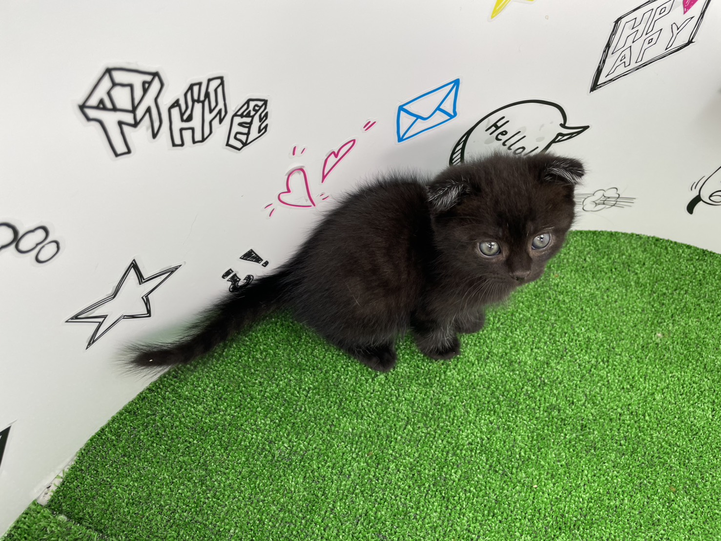 赤ちゃん写真2-3