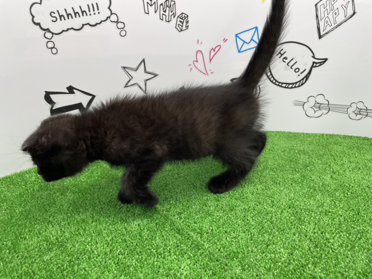 赤ちゃん写真3-2