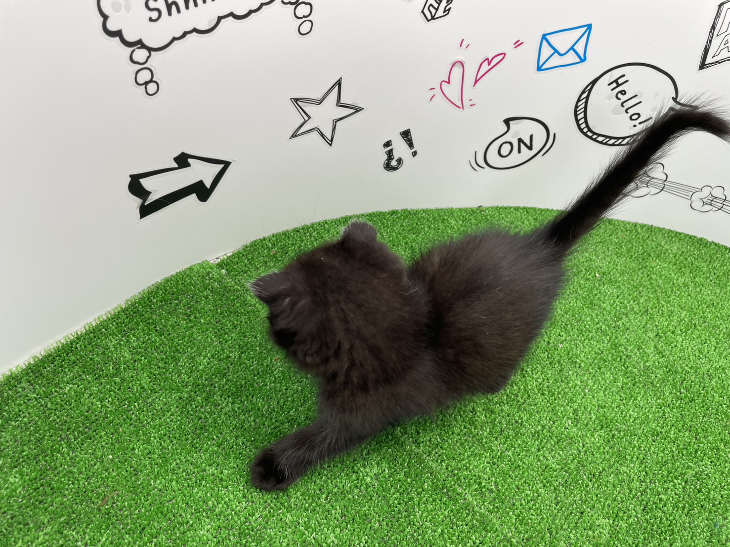 赤ちゃん写真3-3