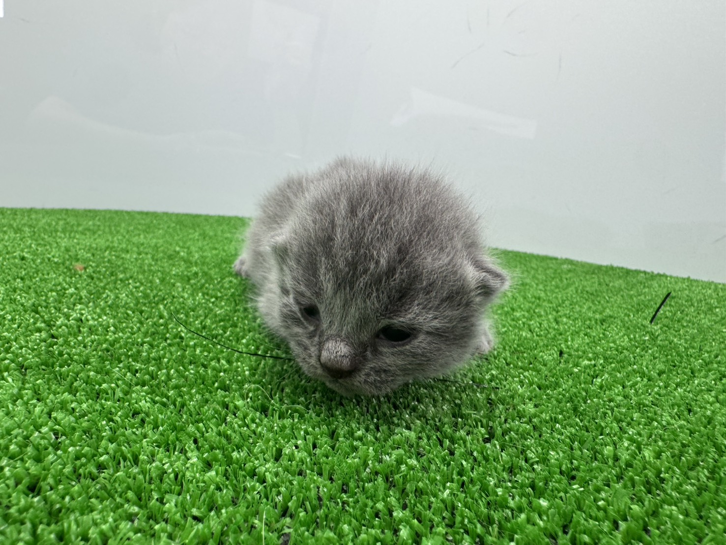 赤ちゃん写真1-1