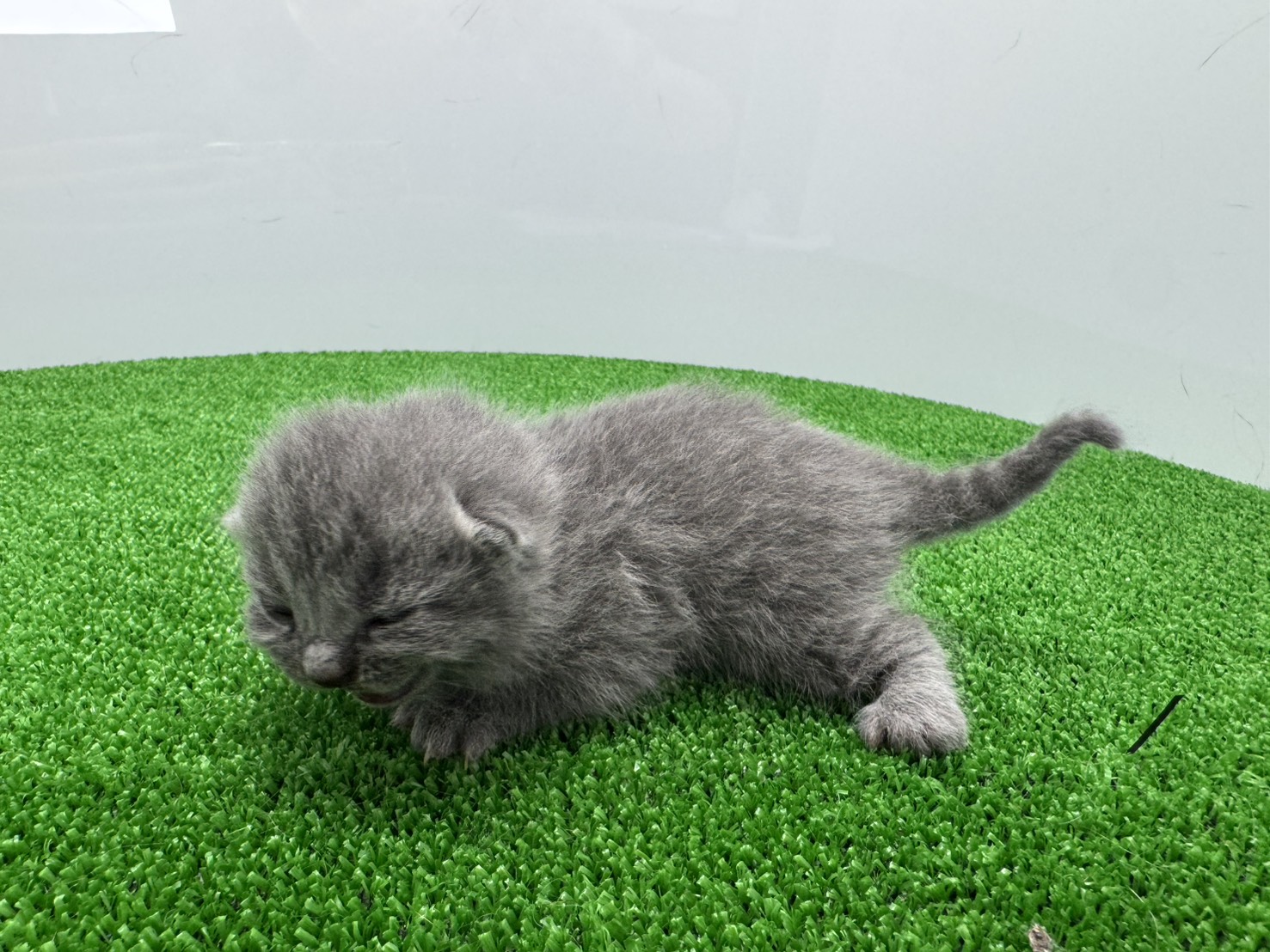 赤ちゃん写真1-2