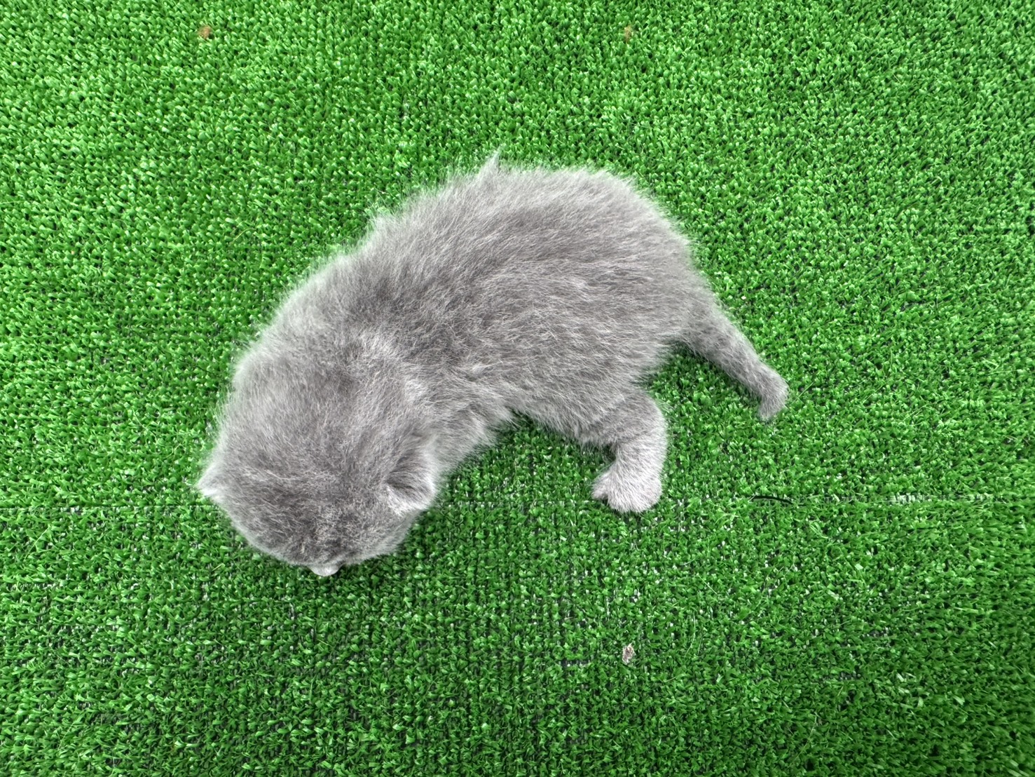 赤ちゃん写真1-3