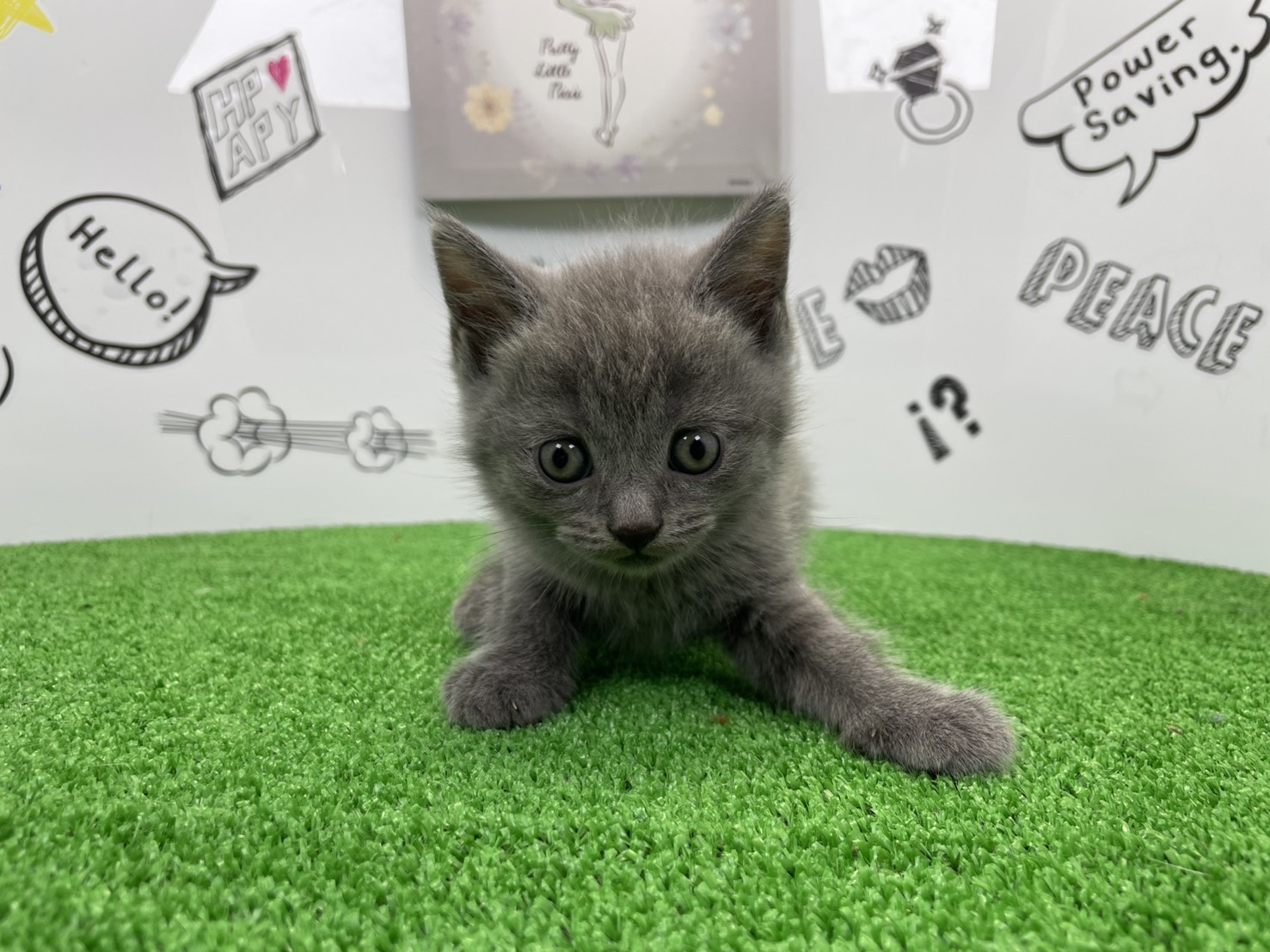 赤ちゃん写真2-1