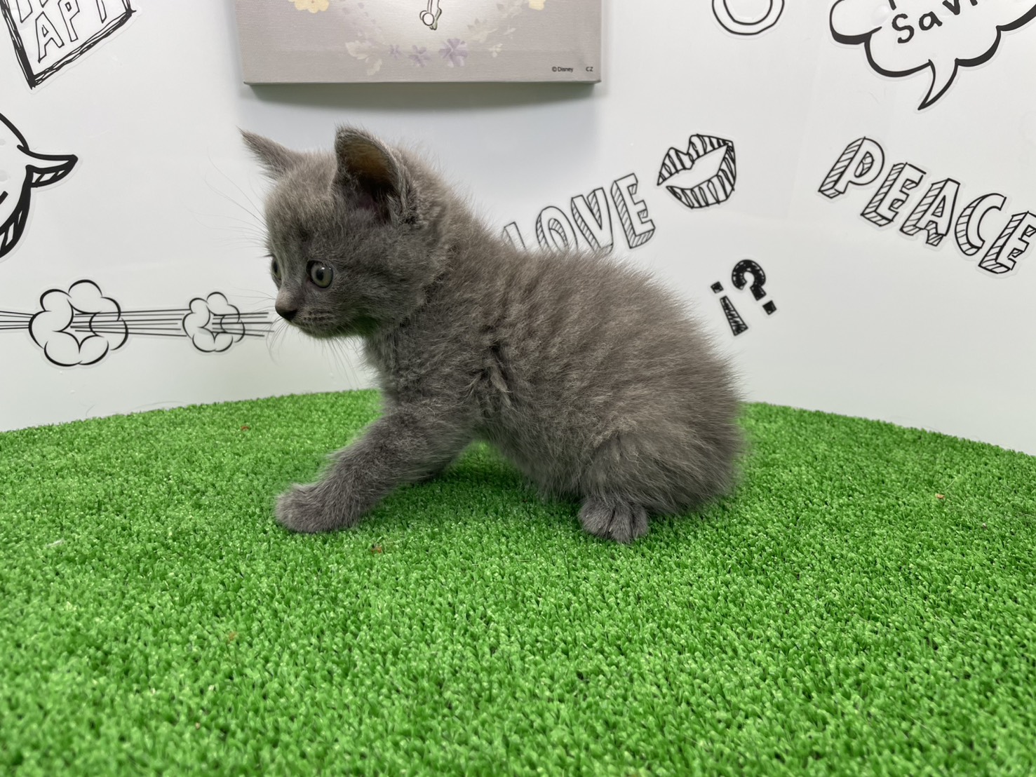 赤ちゃん写真2-2