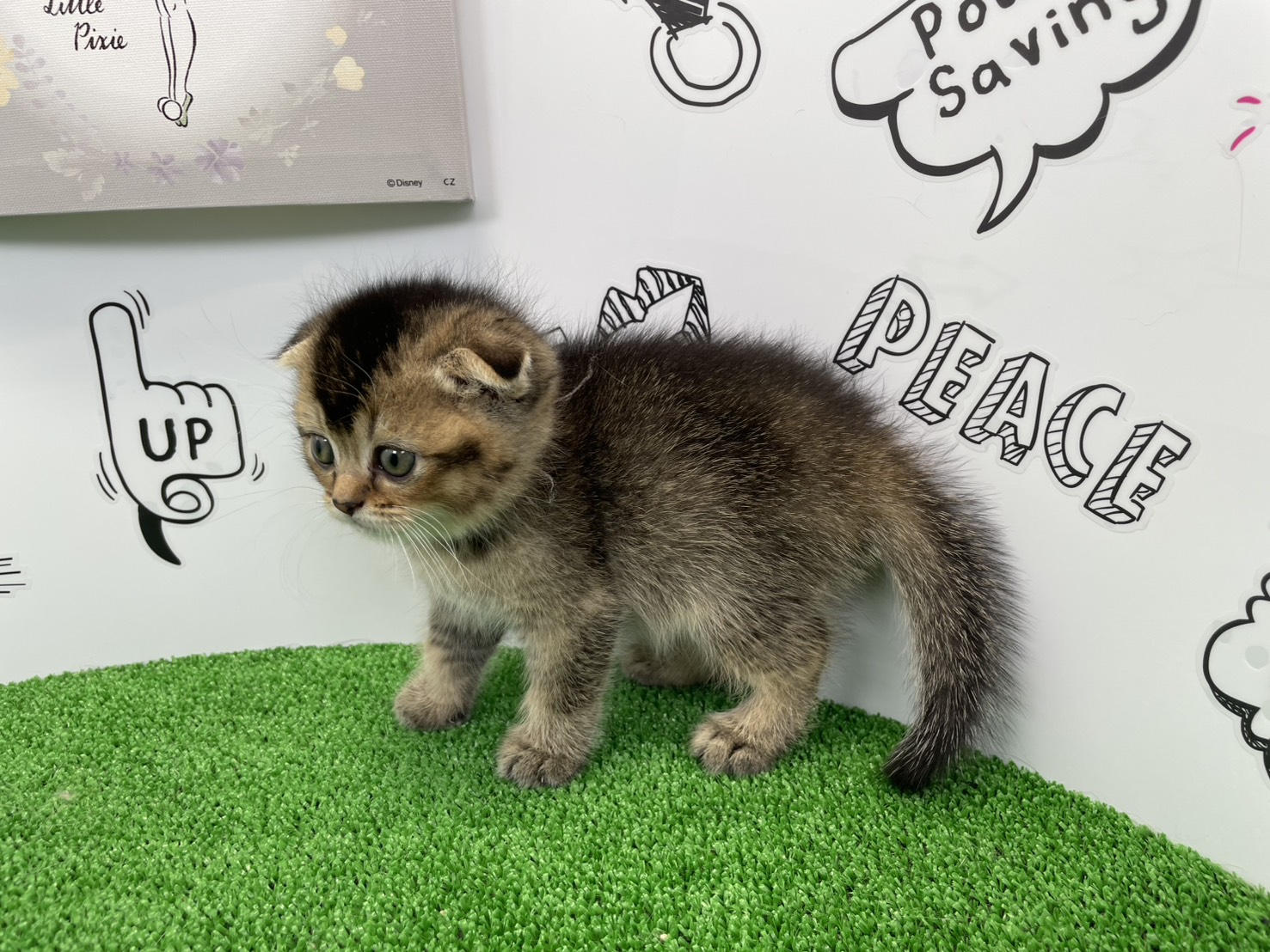 赤ちゃん写真2-2