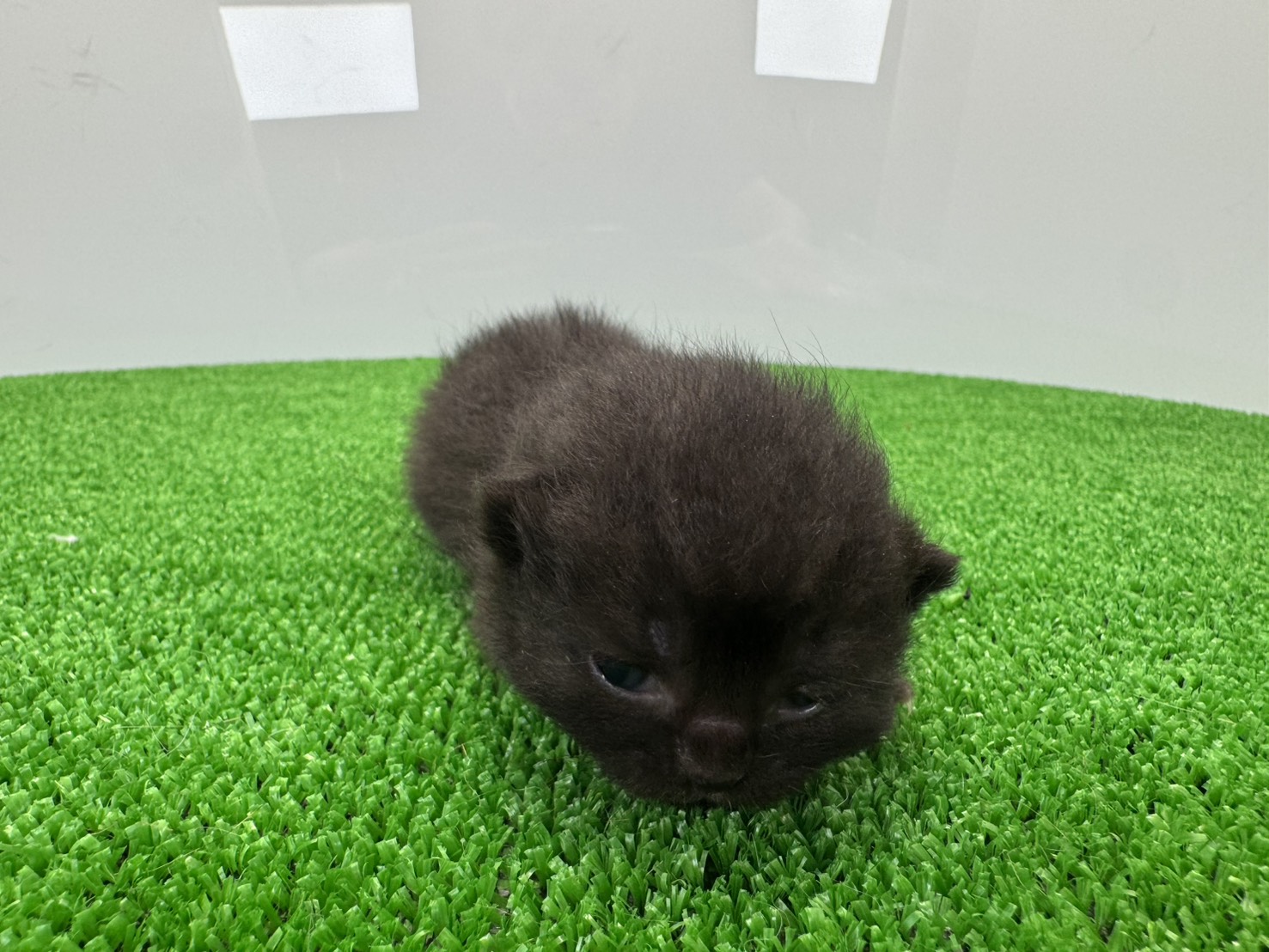 赤ちゃん写真1-1