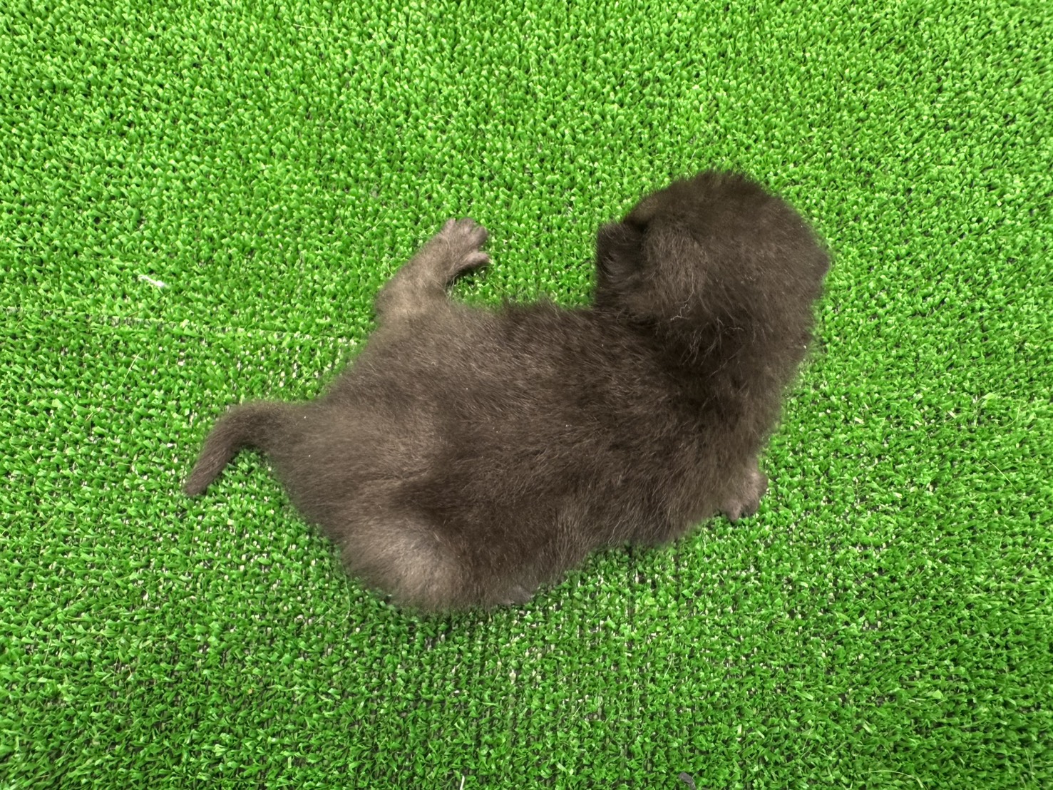 赤ちゃん写真1-3