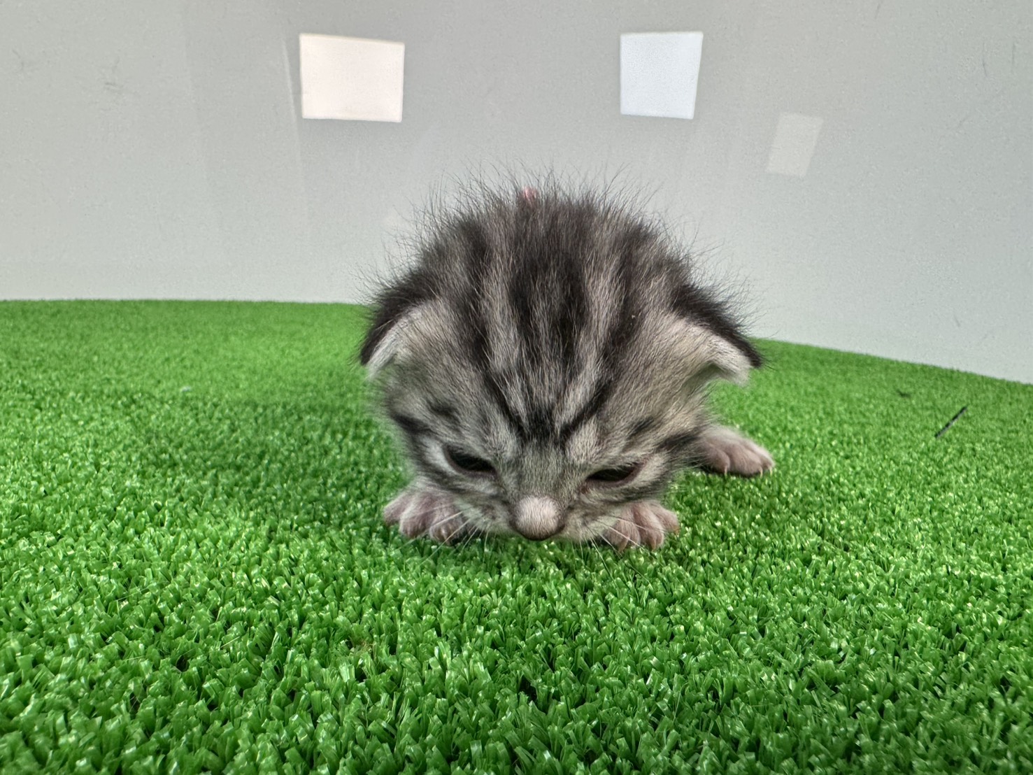 赤ちゃん写真1-1