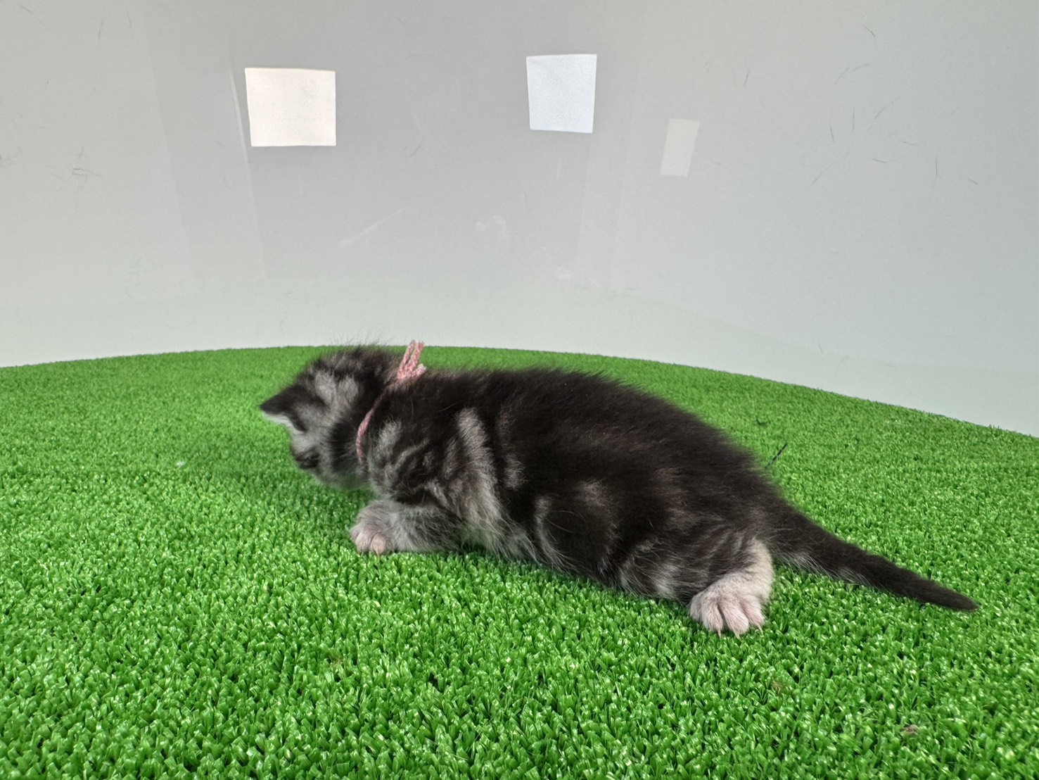 赤ちゃん写真1-2