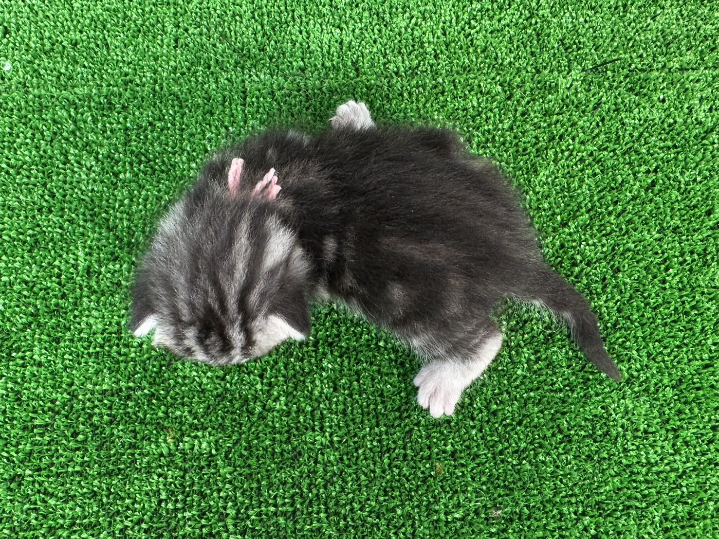 赤ちゃん写真1-3